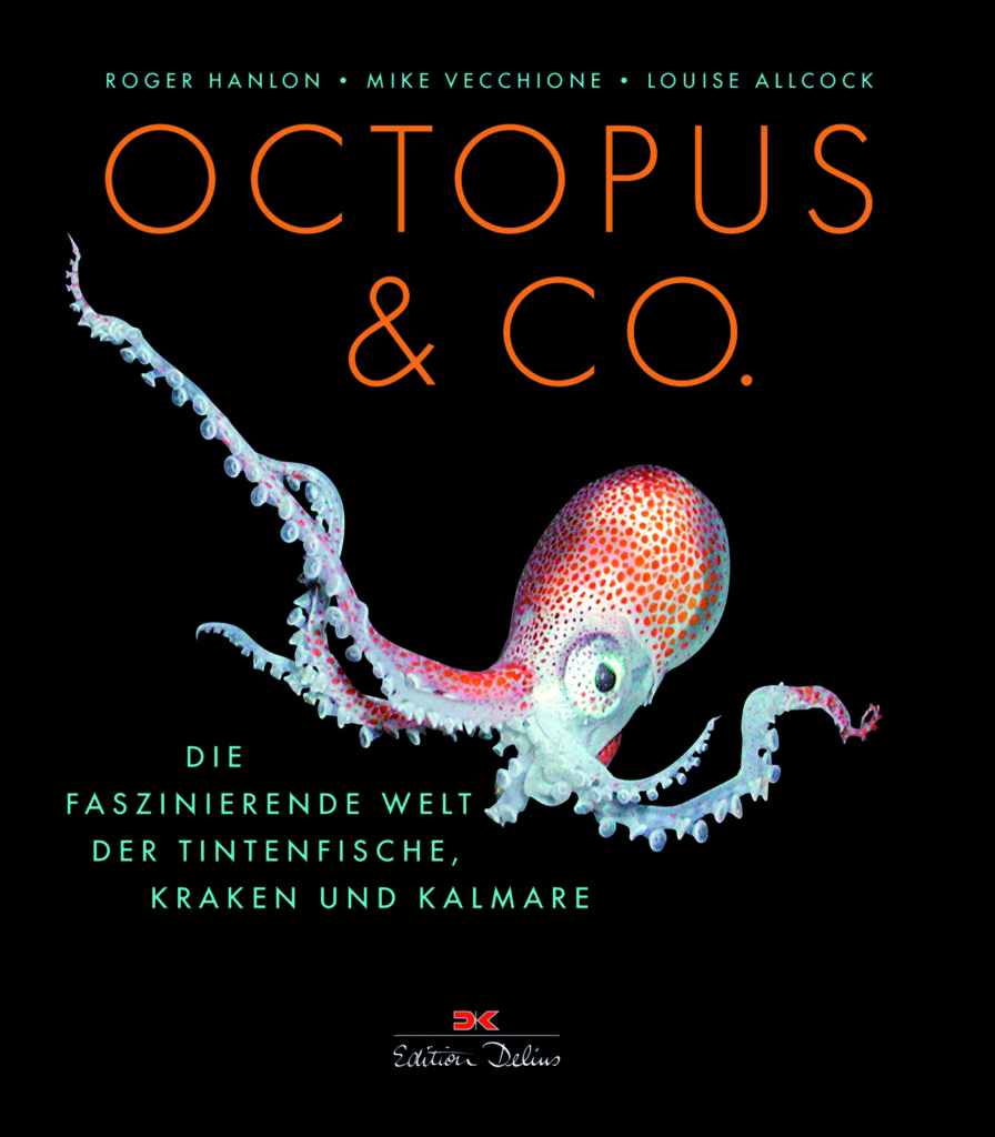 OCTOPUS & Co.