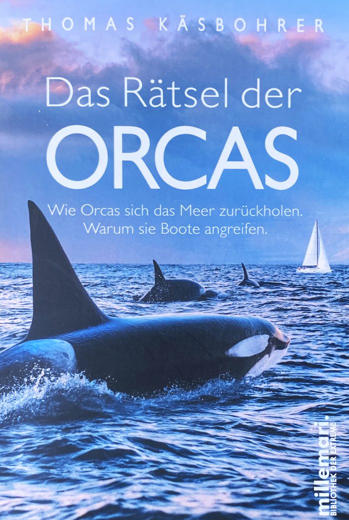 DAS RÄTSEL DER ORCAS